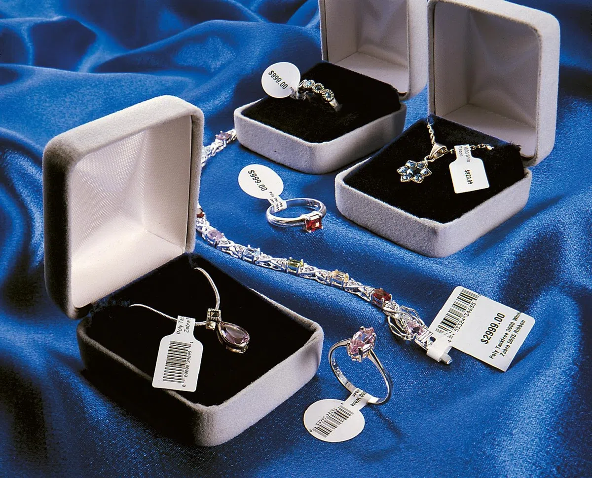 Zebra 8000d Jewelry - Polipropilene (pp) - Adesivo Acrilico Permanente - Bianco - 55,88 X 12,7 Mm 21060 Etichetta(e) (6 Rotolo(i)