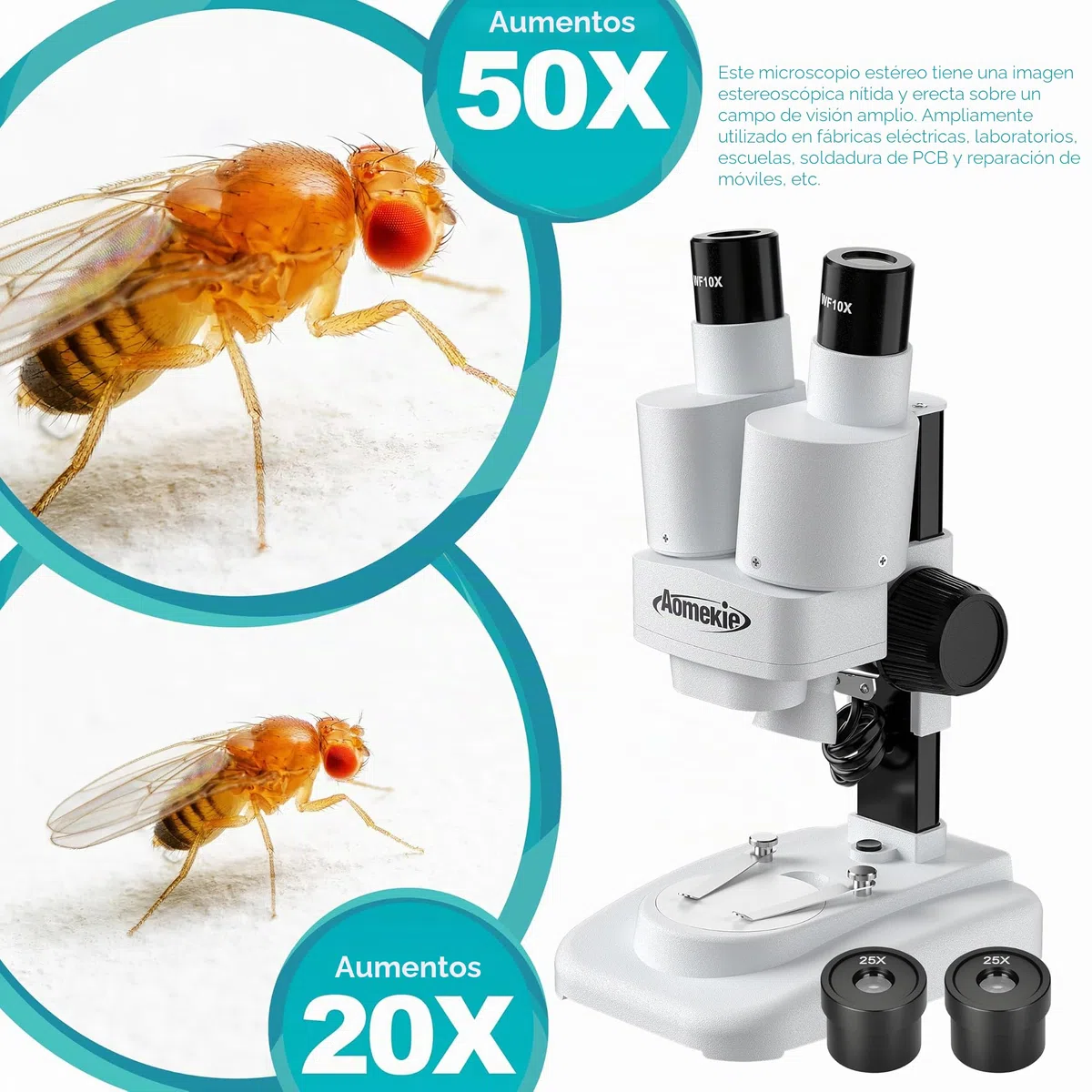 Aomekie Microscopio Estéreo 20X & 50X, Binocular de Aumento con Rodajas de Vidrio y Muestras de Minerales, para Estudiantes y Adultos