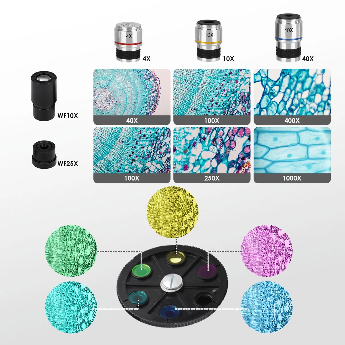 Microscopio Profesional para Adultos con Adaptador de Teléfono, Juego de Portaobjetos de Microscopio para Laboratorio Escolar, Hogar, Investigación Científica Biológica