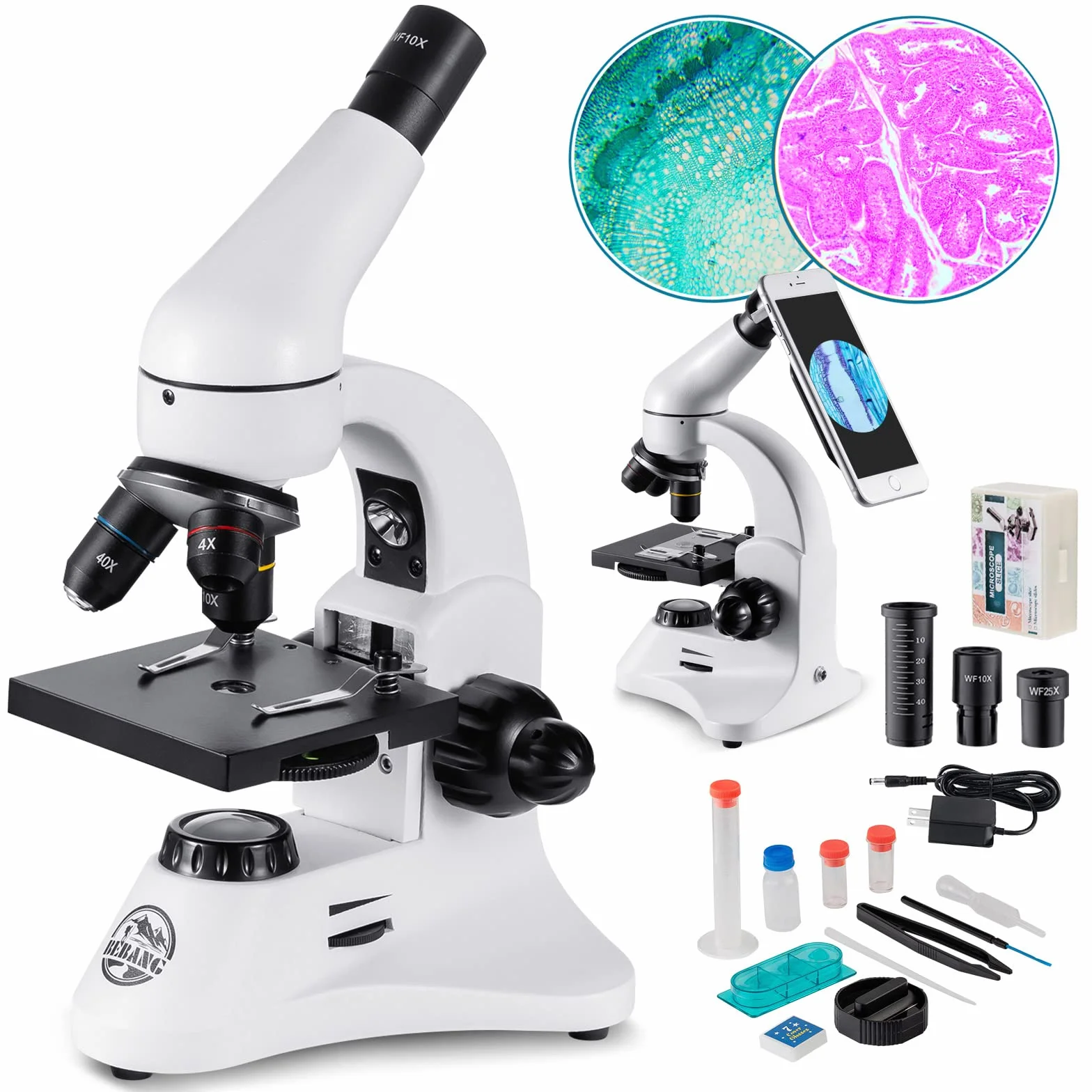 Microscopio Óptico 80X-2000X, Cuerpo Metálico, 2 Oculares WF, Iluminadores Duales, Enchufe UE, Completo Accesorios para Estudiantes Principiantes Adultos