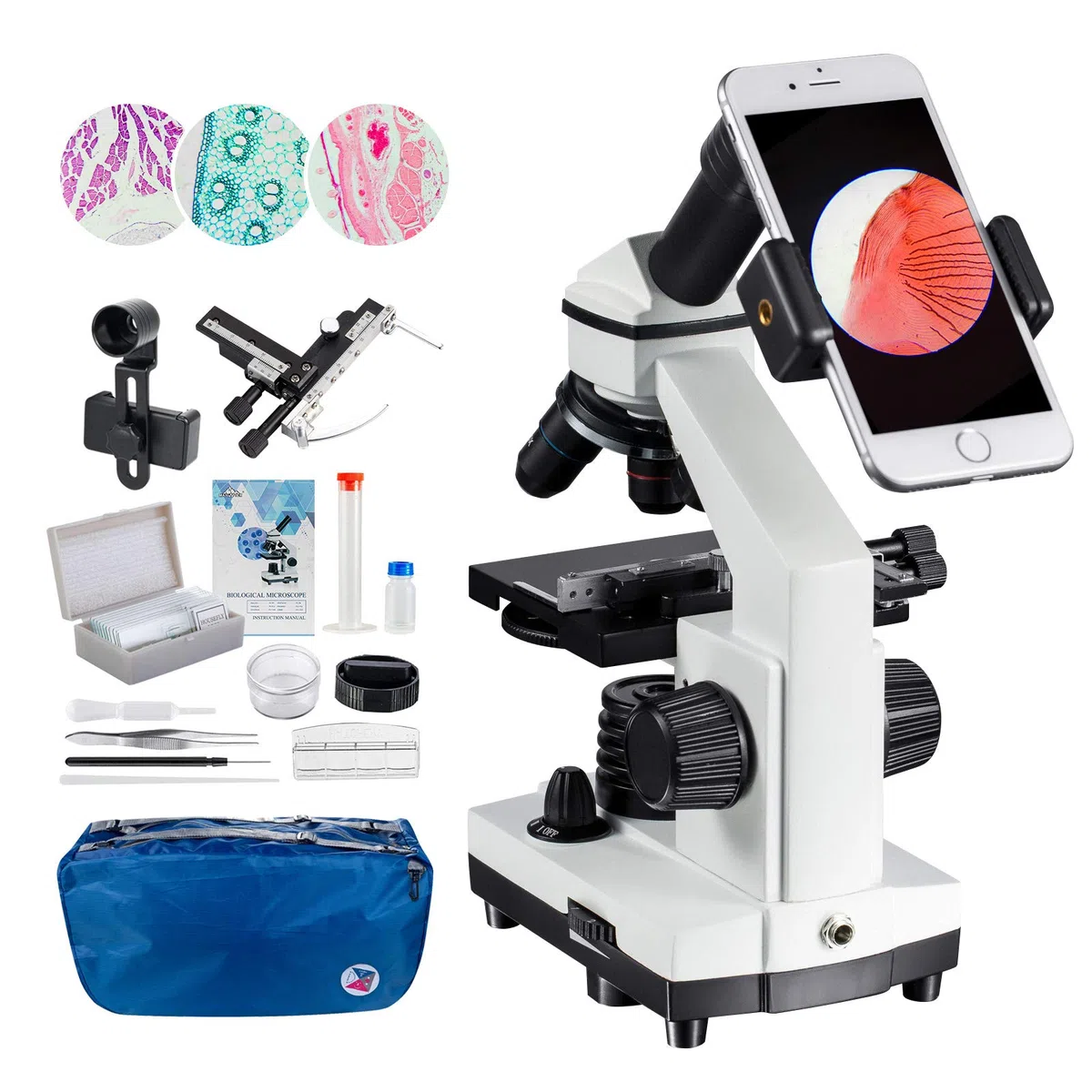 MAXLAPTER Microscopio LED 2000x con Regla móvil – Óptica de Laboratorio con Cuchillas preparadas y en Blanco – Adaptador de Lente