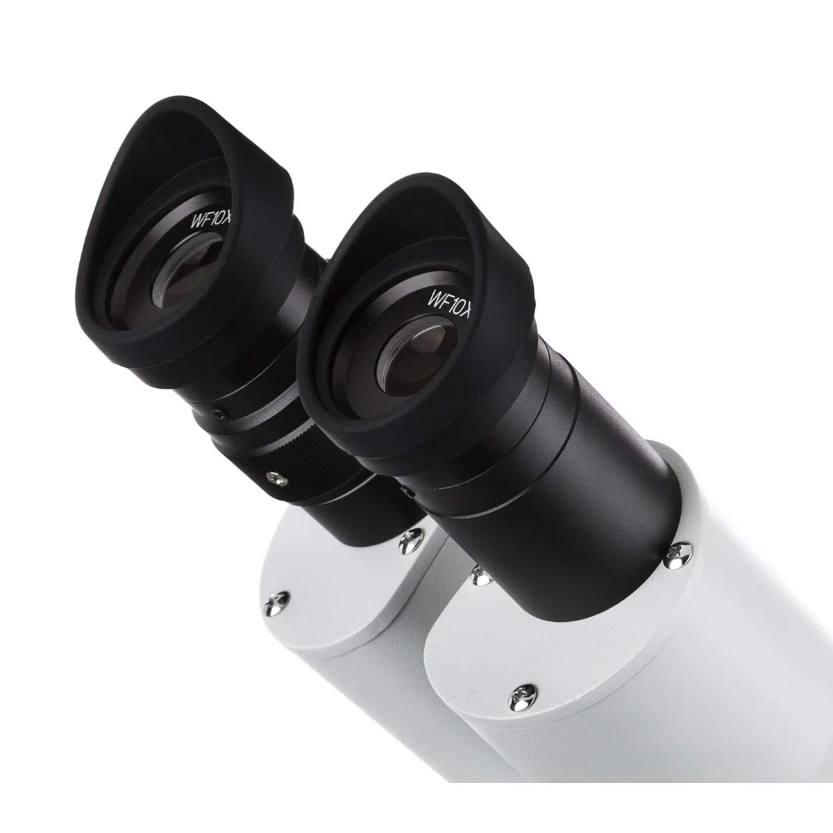 AmScope SE306R-PE-20X ​​40X Microscopio est-reo Dos Luz Con Usb de la c-mara