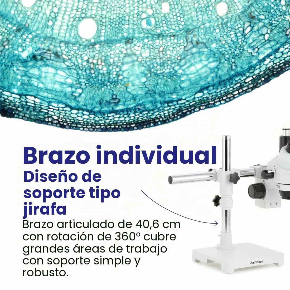 AmScope - Microscopio trinocular con zoom estéreo 7X-45X en soporte de un solo brazo - SM-3T