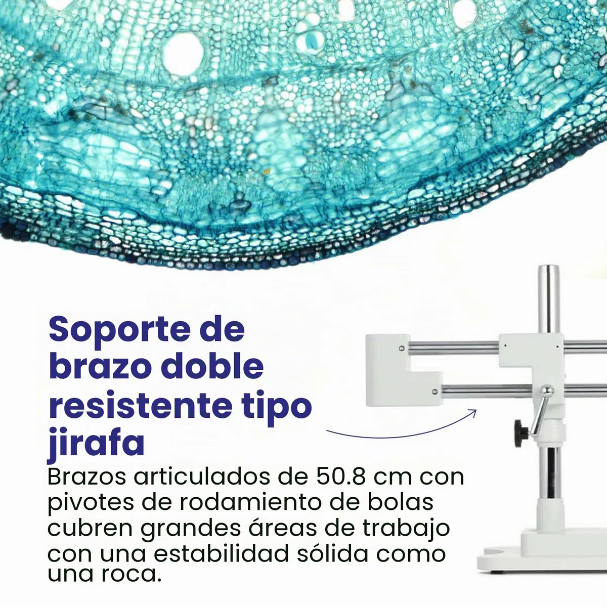 AmScope 7X-45X Simul-Focal Stereo Lockable Zoom Microscopio en Soporte de Brazo Dual