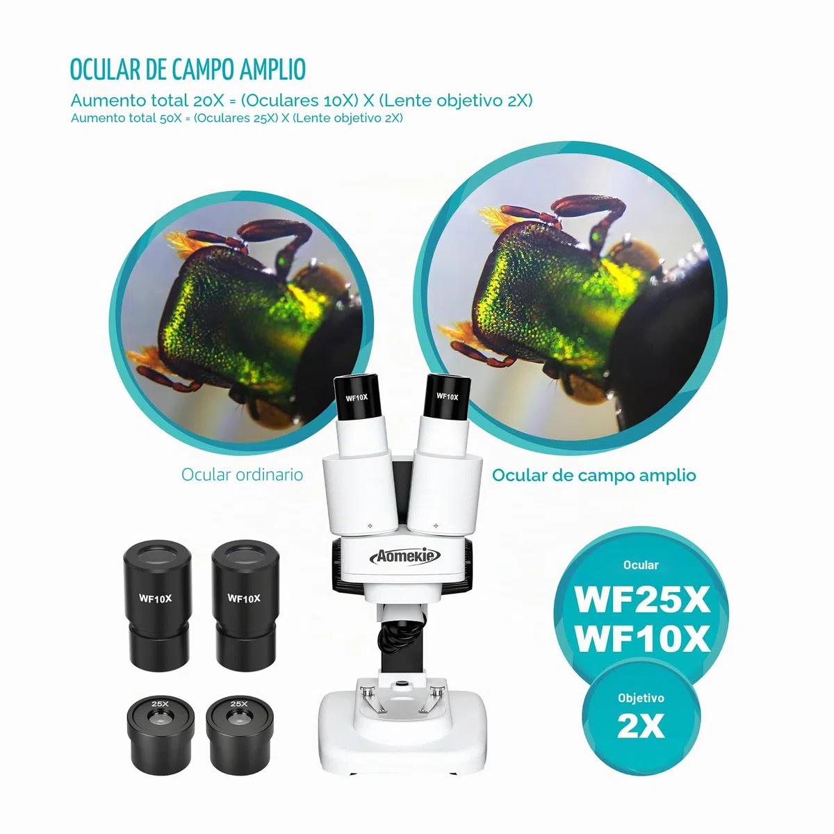 Aomekie Microscopio Estéreo 20X & 50X, Binocular de Aumento con Rodajas de Vidrio y Muestras de Minerales, para Estudiantes y Adultos