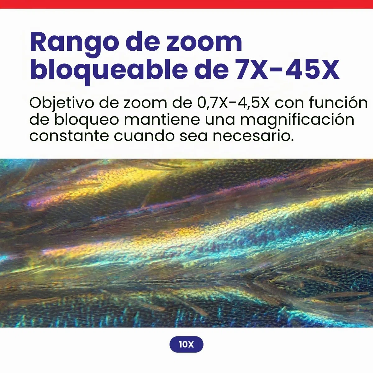 AmScope 7X-45X Simul-Focal Stereo Lockable Zoom Microscopio en Soporte de Brazo Dual